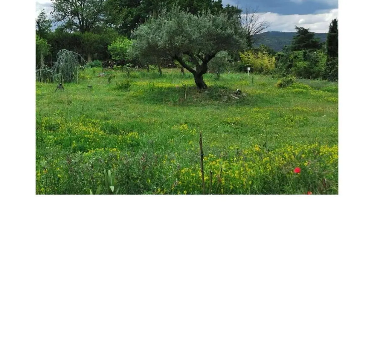 Sunset Ridge House In Provence Villa Pierrevert Frankrike